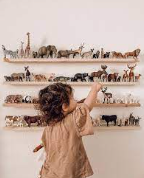 An animal contribution to his animal display!