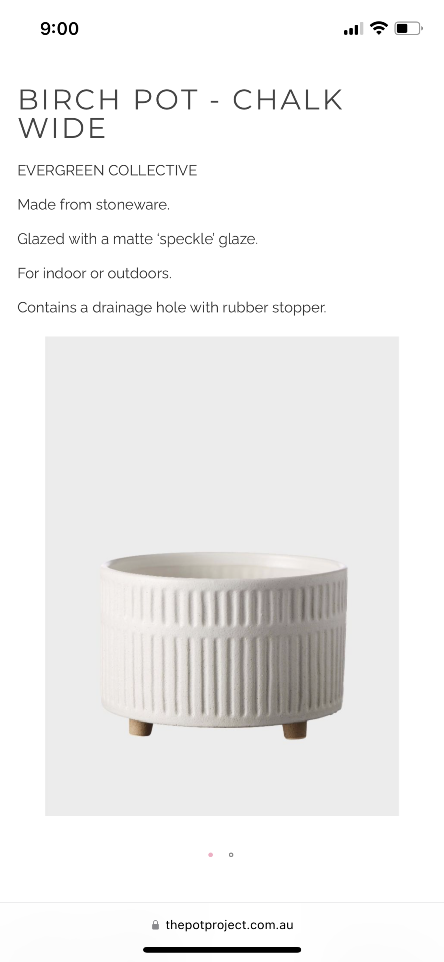 Evergreen Collective Birch Pot