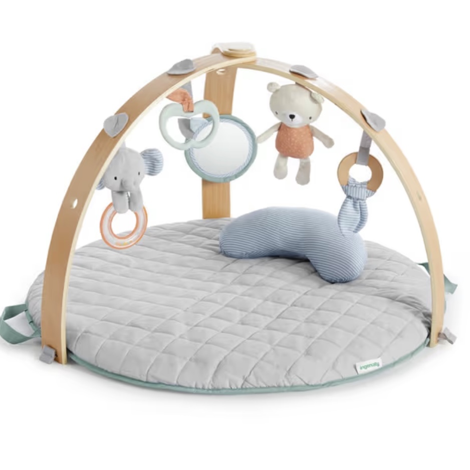 Ingenuity Cozy Spot Reversible Play Gym