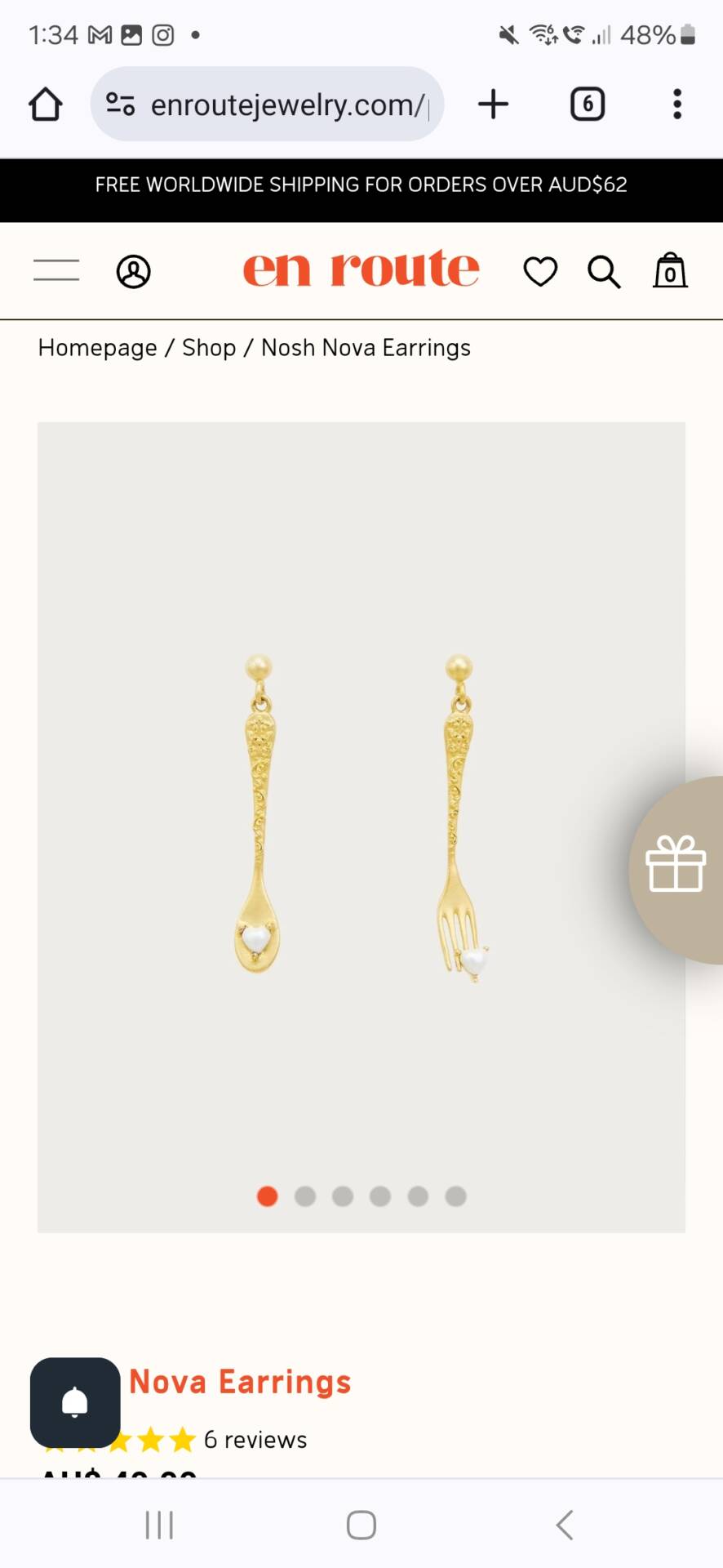 Earrings