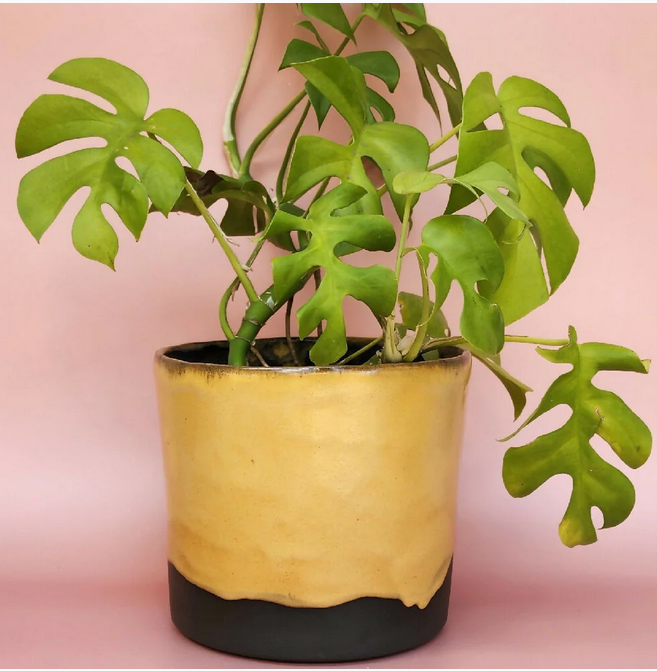 Ceramic planter pot