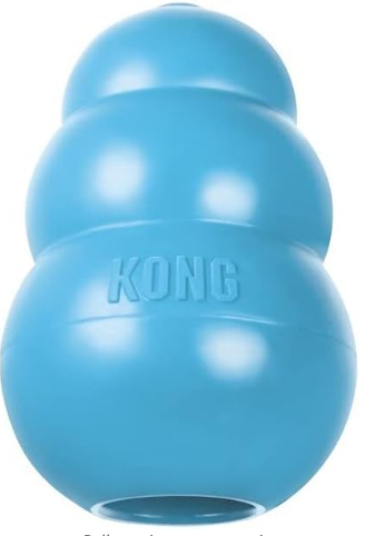 Kong Puppy Chew Toy