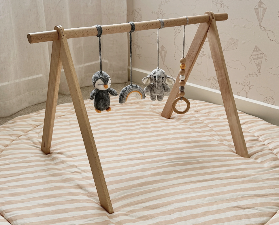 Baby Play Gym