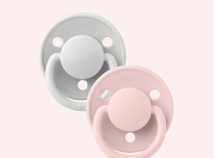 Bibs - De Lux Silicone Dummy Duo - Haze/Blossom