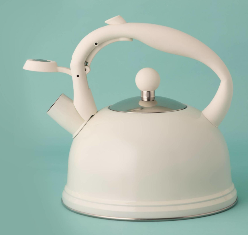 Stovetop Kettle