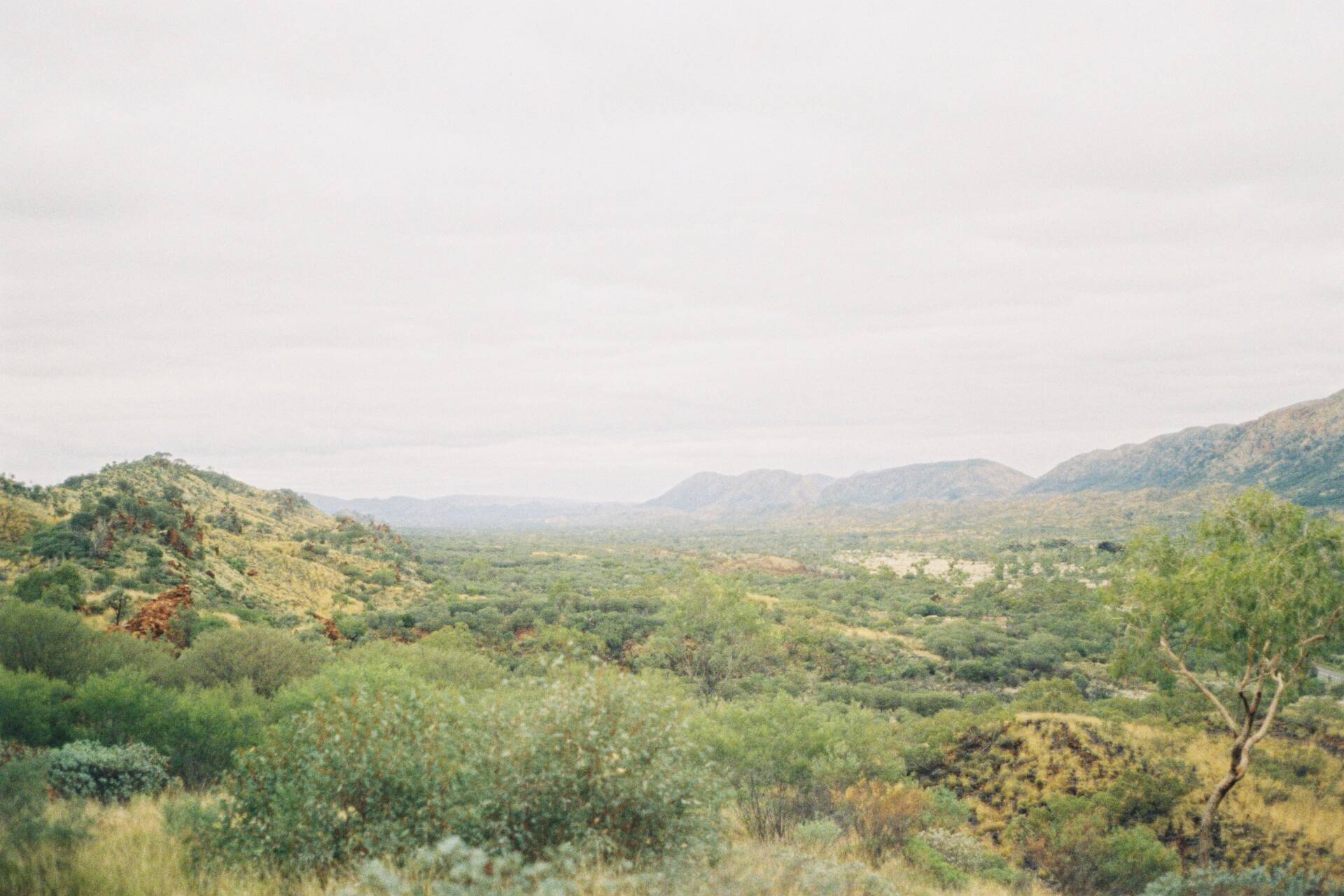 Honeymoon & Alice Springs Trip