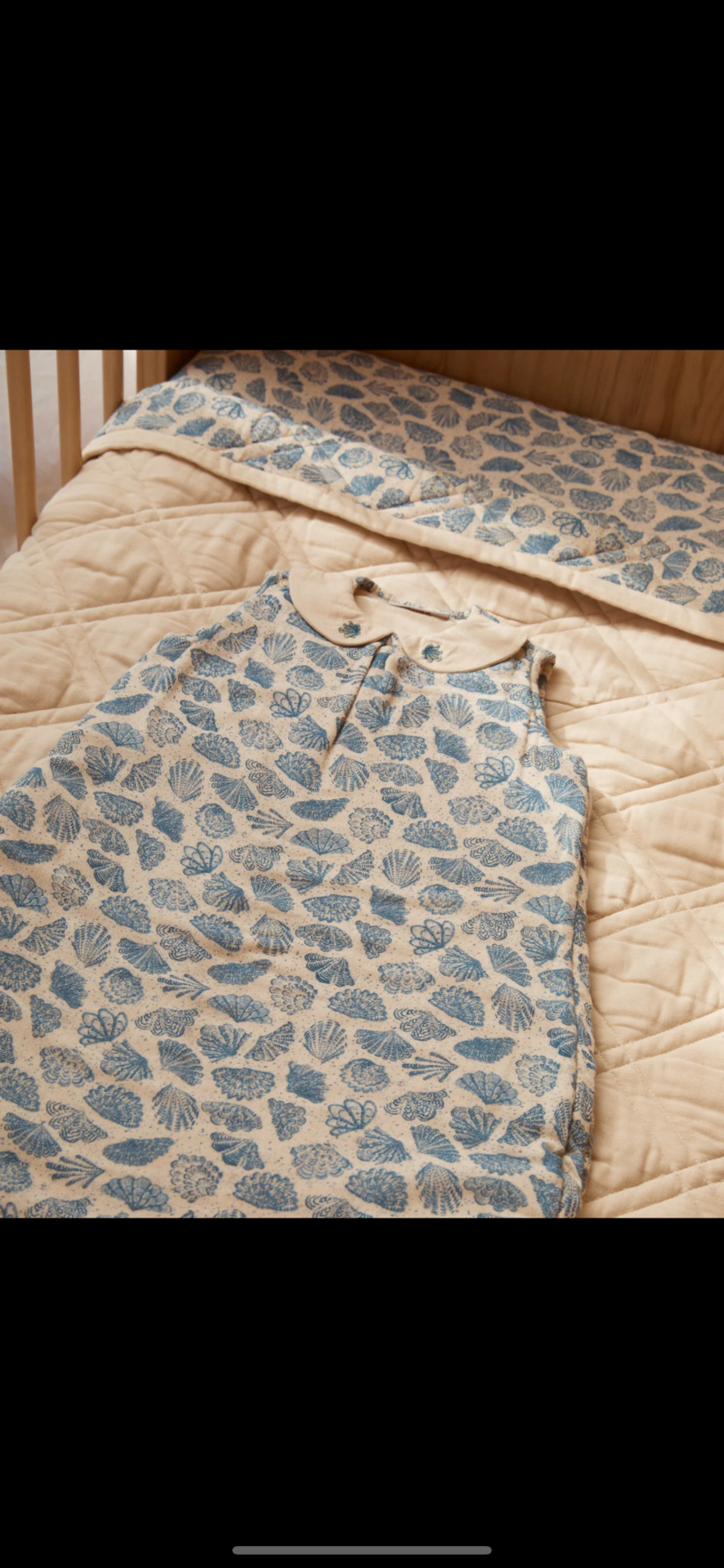 Sleeping Bag