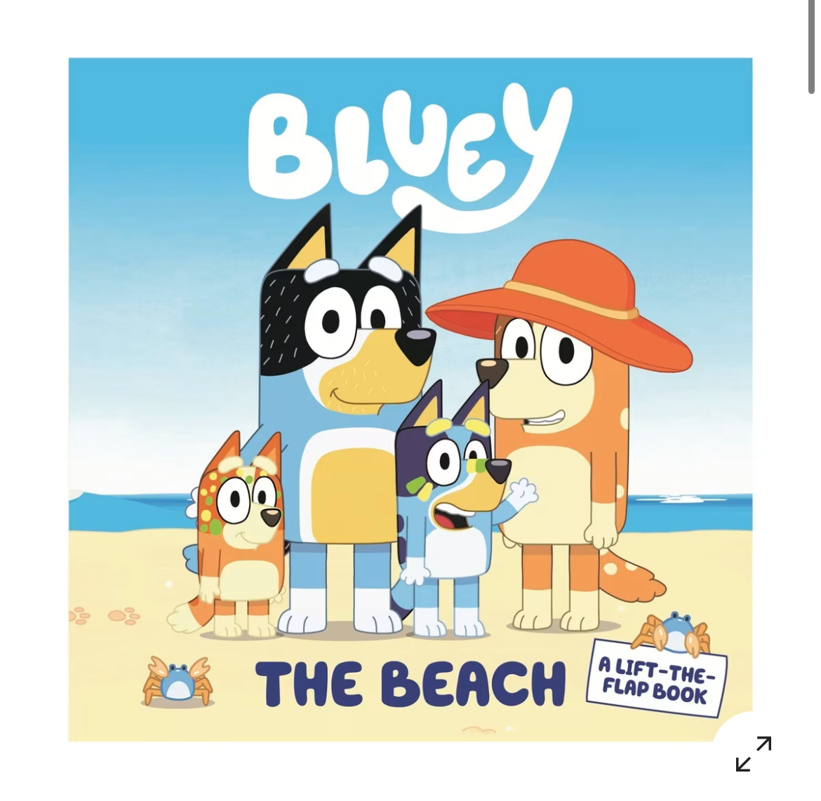 Bluey books