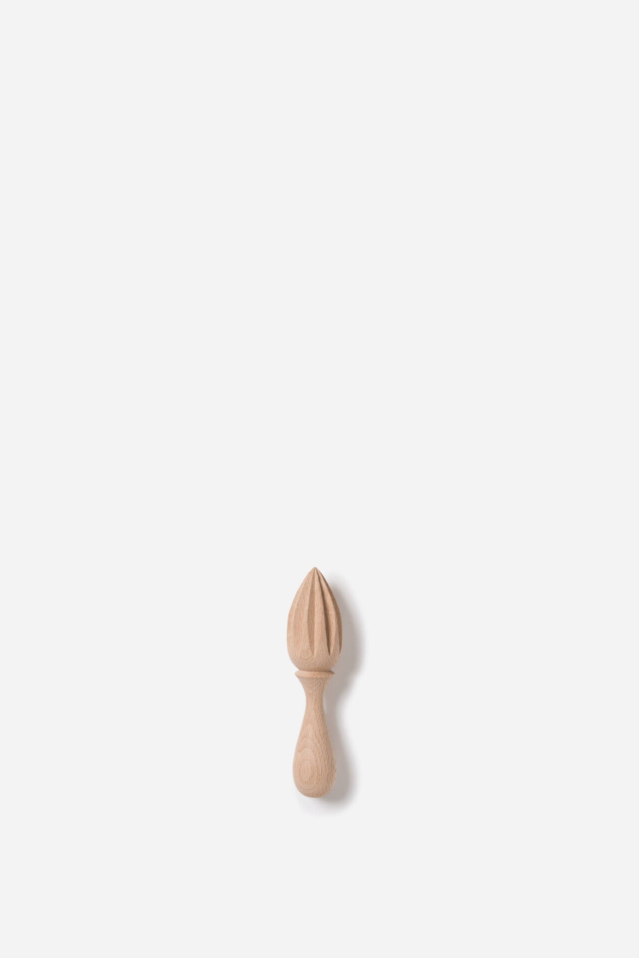 Lemon Juicer