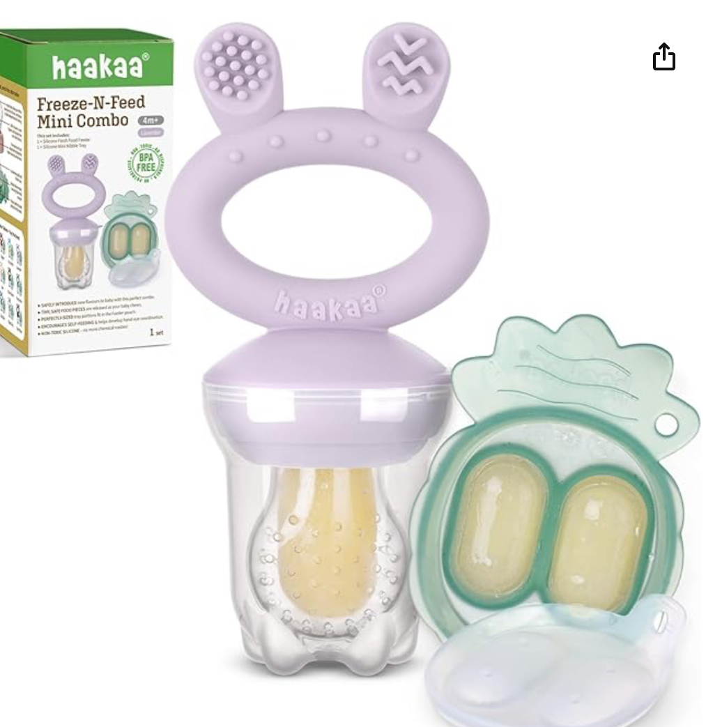 teething fruit food feeder