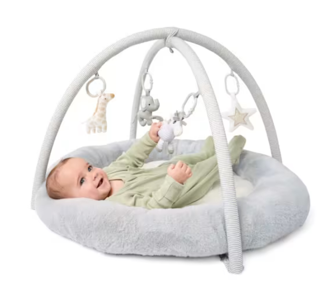 Plush Play Mat and Gym
