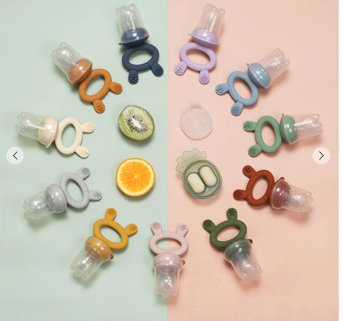 Fresh Food Feeder Mini Combo
