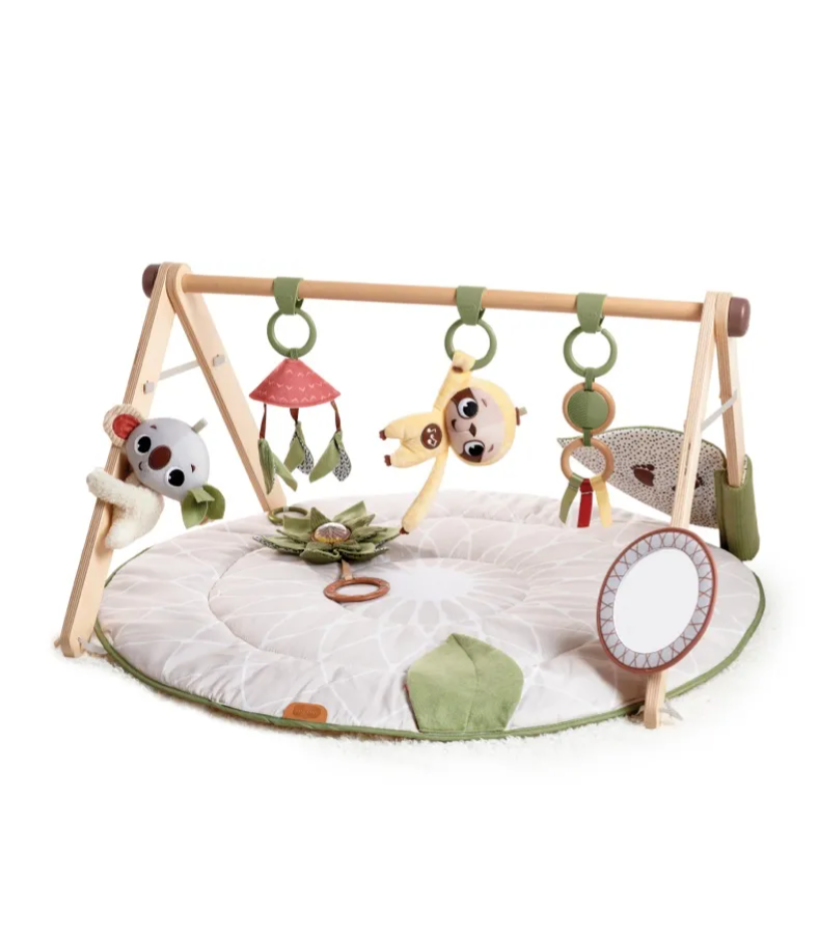 Playgym