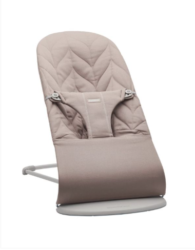 Baby Bouncer