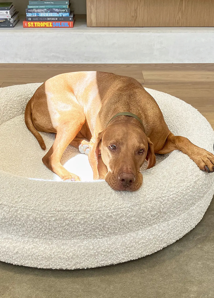 Barney Orthopaedic Dog Bed