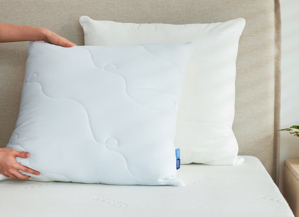 2 x Ecosa Loft European Pillow