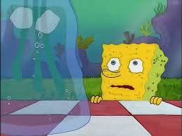 Water purifyer