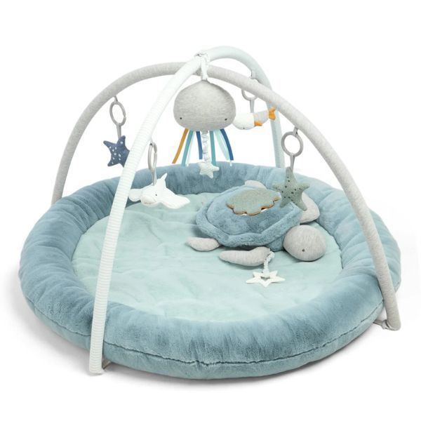 Baby Gym Play Mat