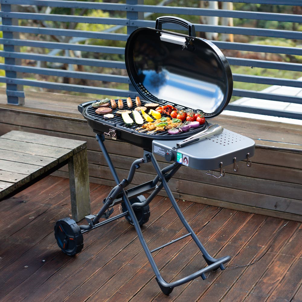 Portable/small bbq