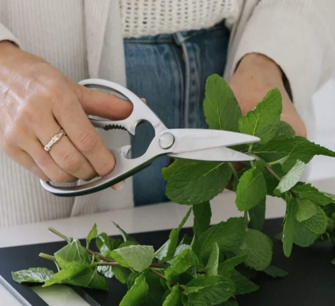 Stainless Steel Kitchen Scissors