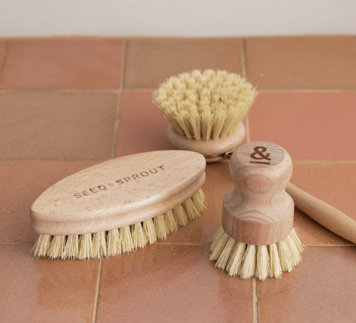 Starter Brush Set