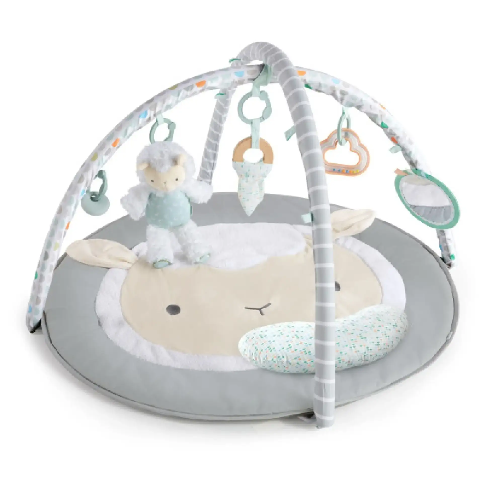 Play Gym - $89.99
