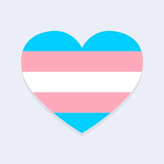 Georgie Transition Surgery Fund