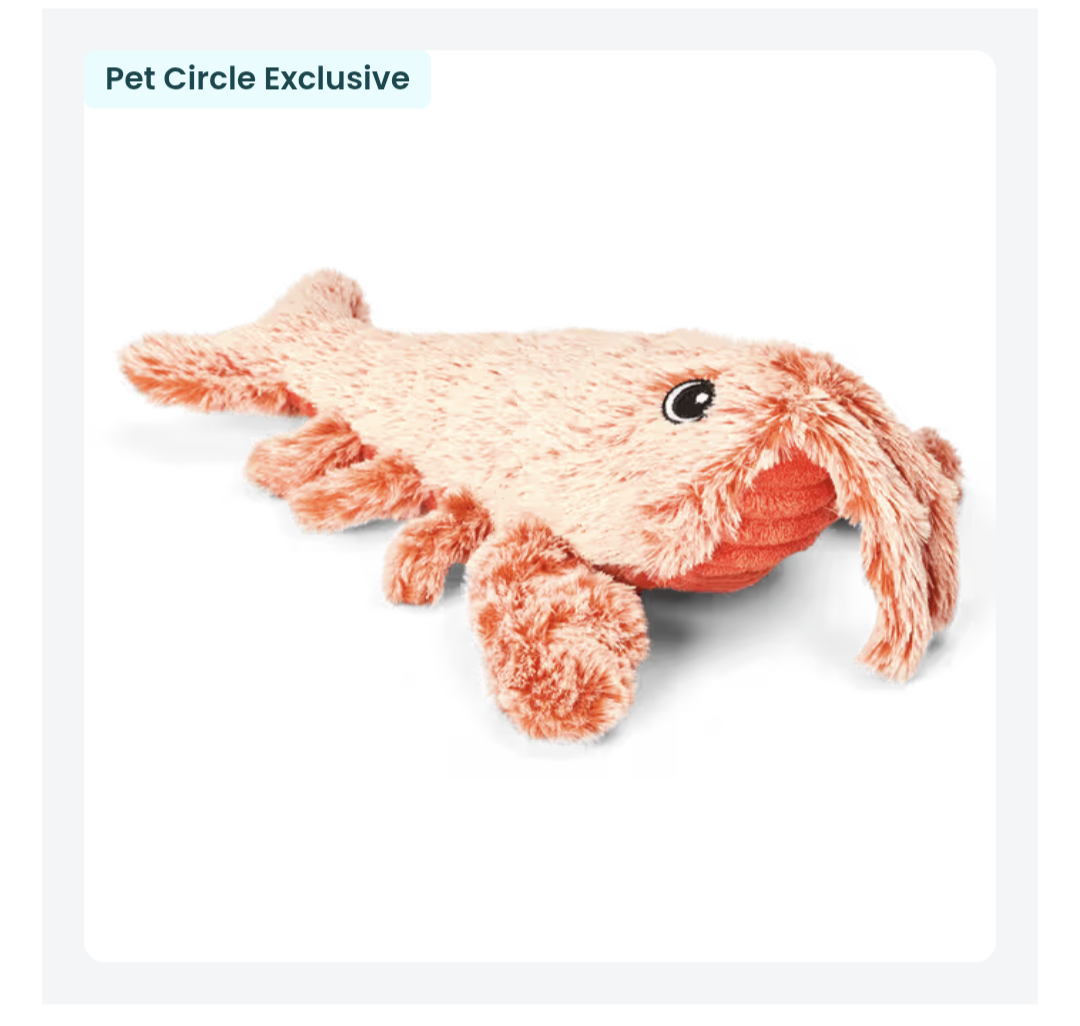 Dog toys