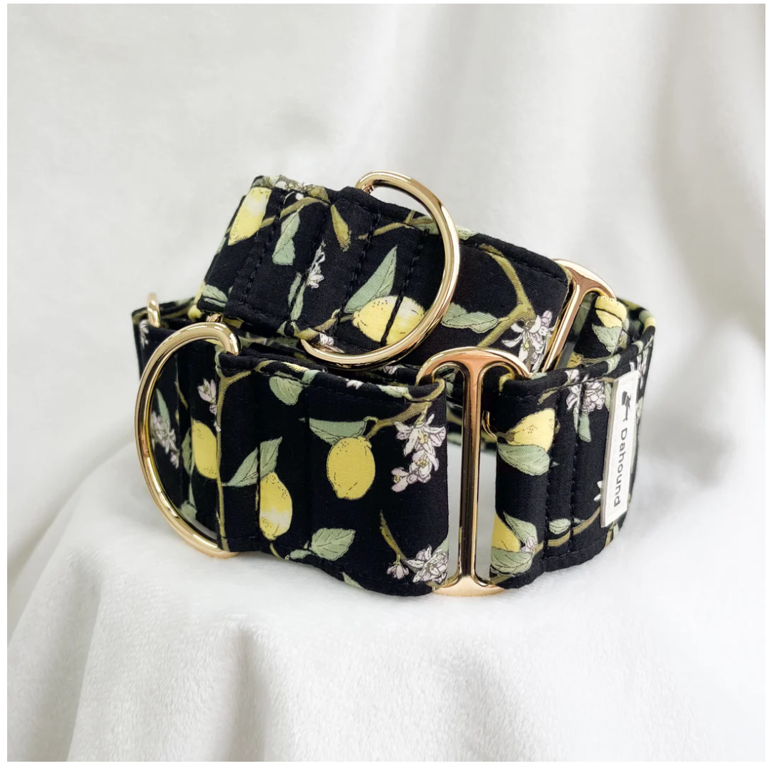 Dog Collar for Pimento Chilli