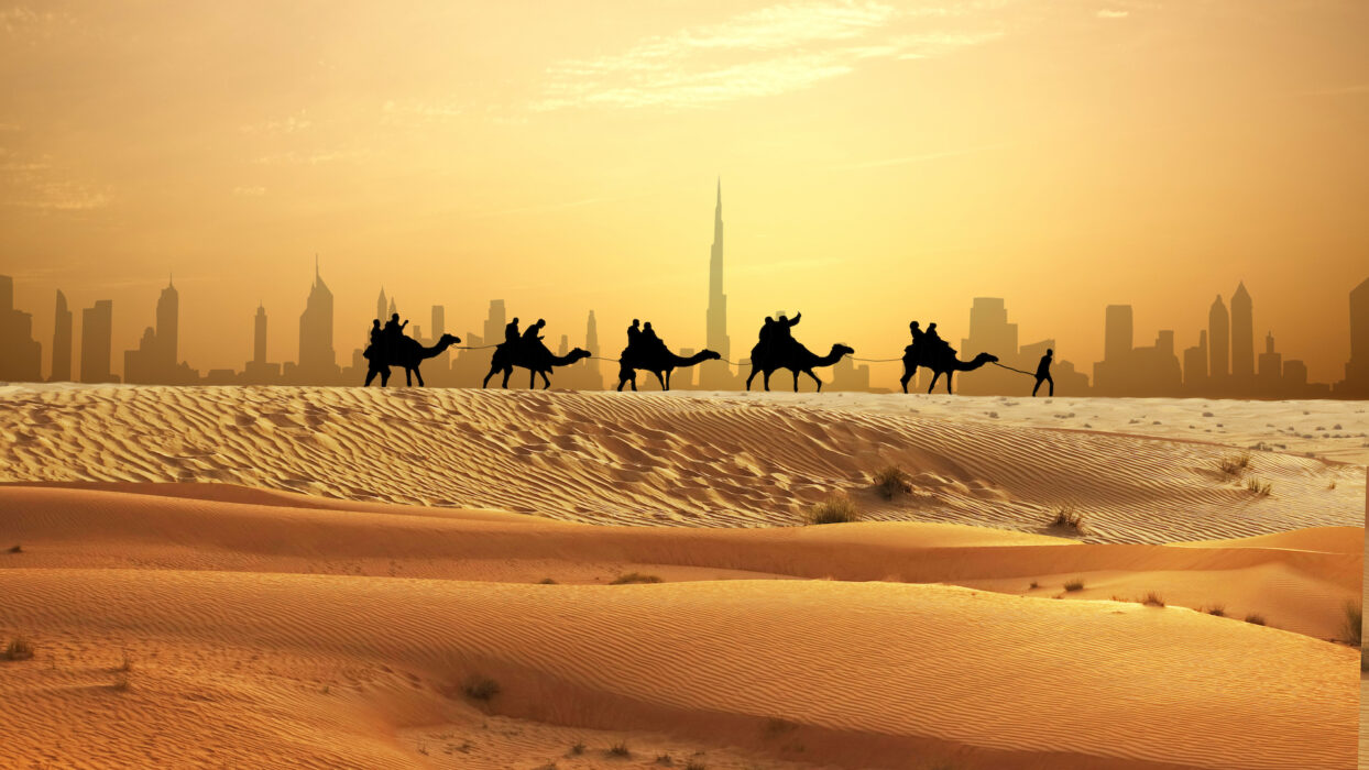 Experience: Dubai desert safari in sand dunes