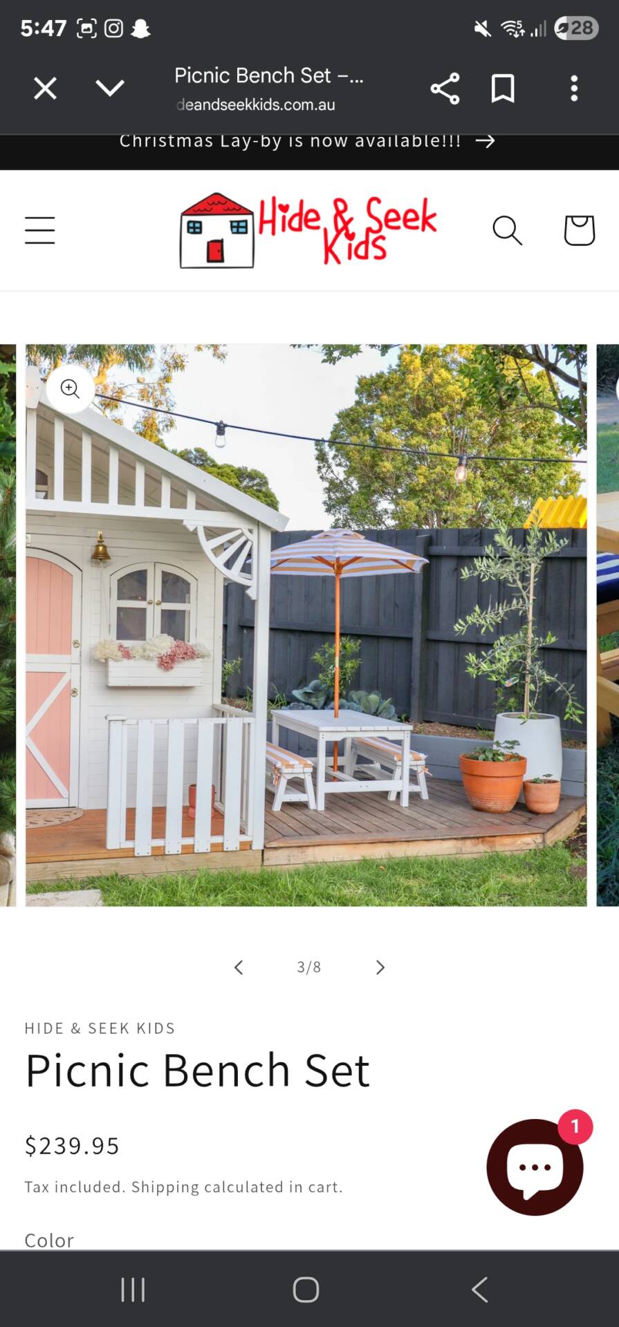 Picnic Table and Umbrella