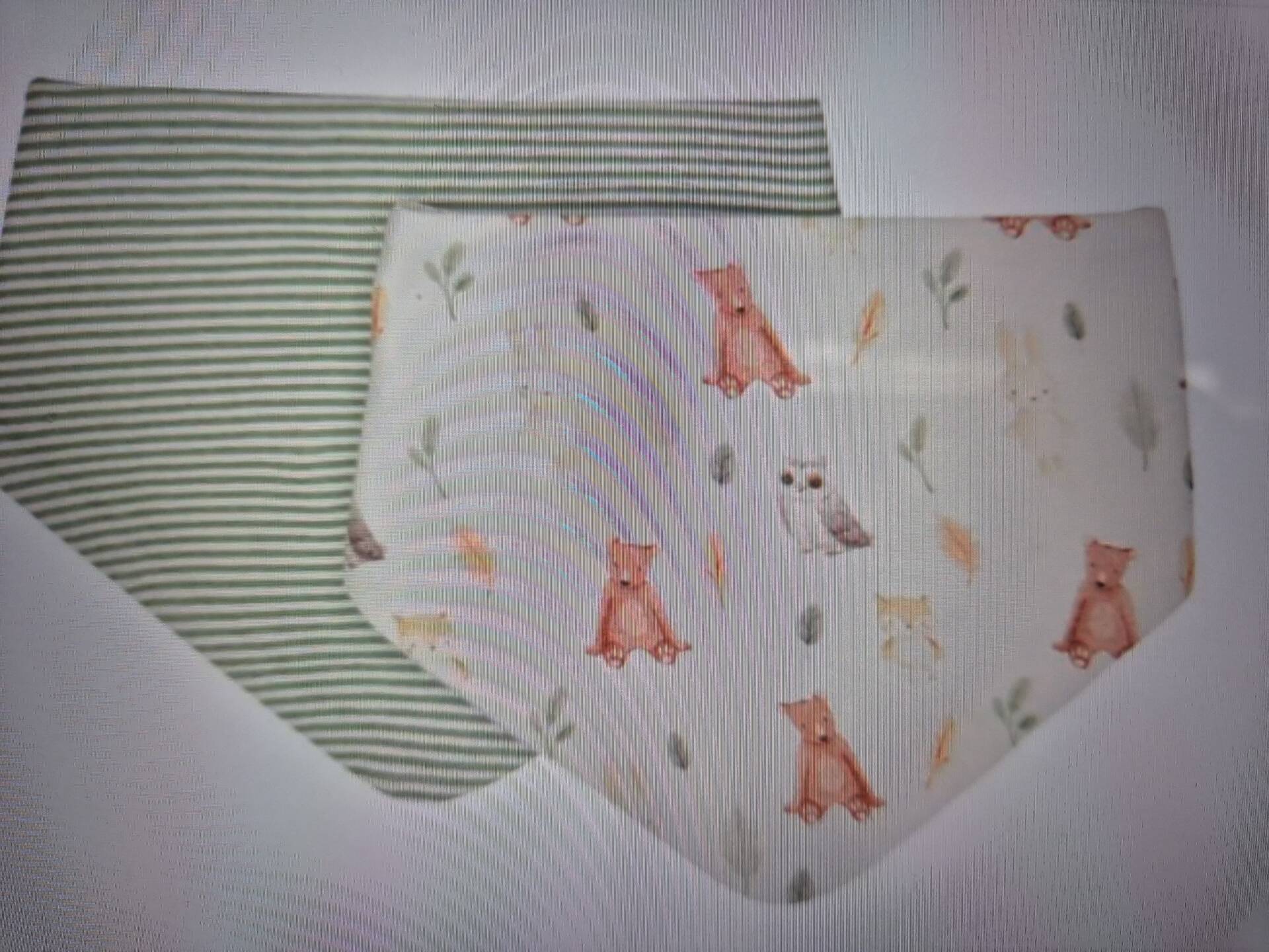 Bandana bibs 2pk - Forest Friends