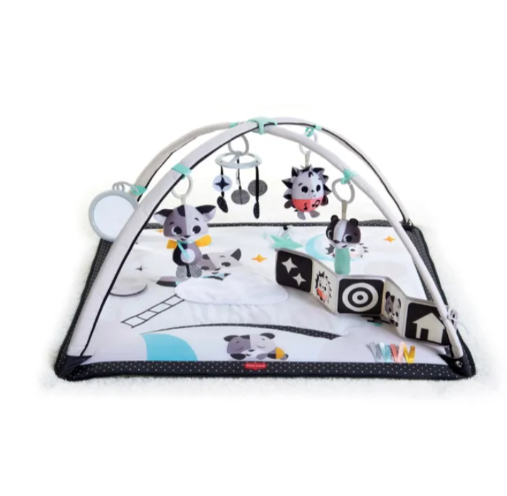 Tiny Love Magical Tales Gymini