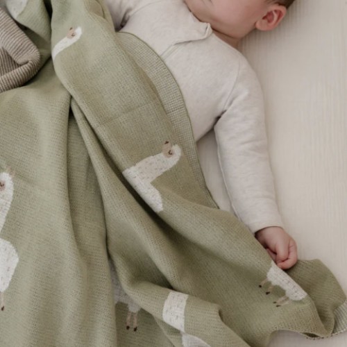 Little Llama Blanket