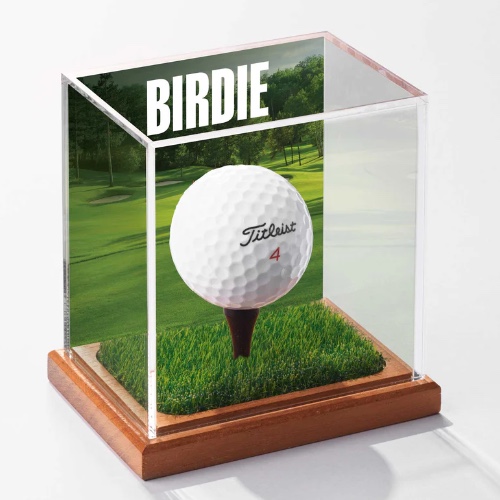 Display Champ (Gift for Tom)