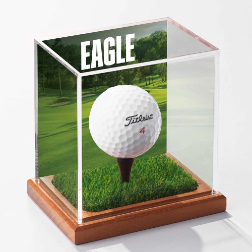 Display Champ (Gift for Tom)