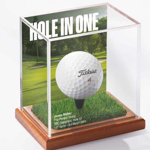 Display Champ (Gift for Tom)