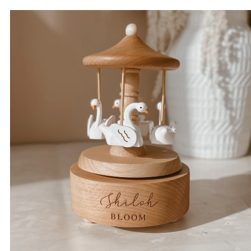 Personalised Goose Music Carousel