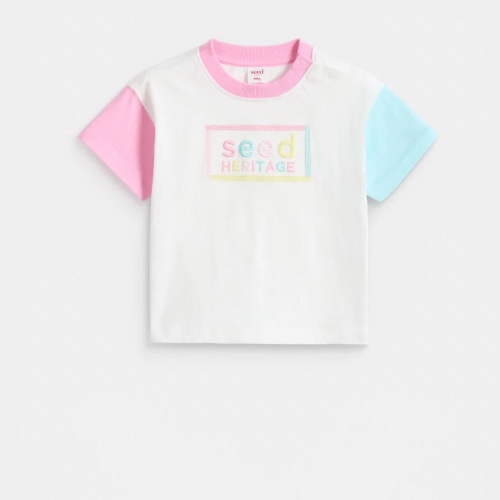 Seed - Colour block logo