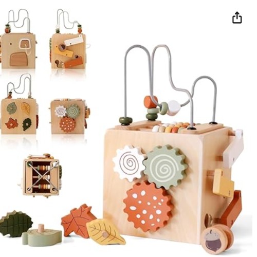 My First Acitvity Wooden Toy