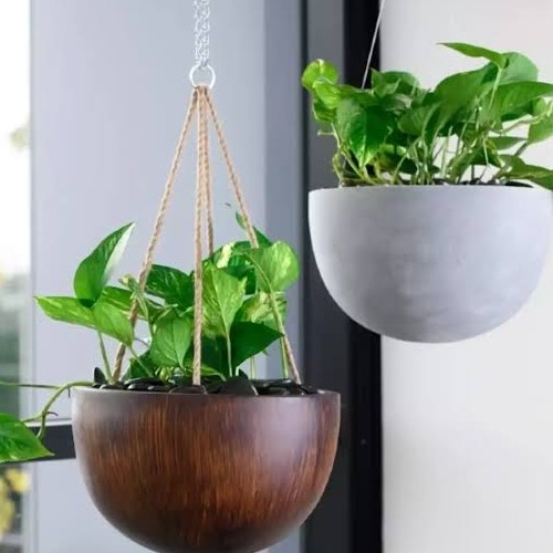 Hanging Indoor Pot Plants