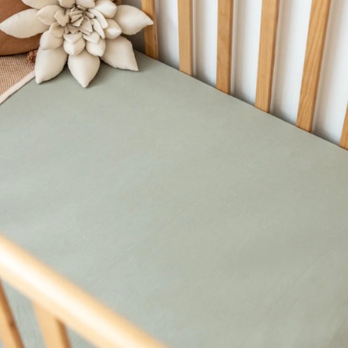 Organic Cotton Sheet