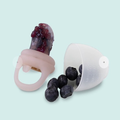 Fresh Food Feeder (2 Pack)