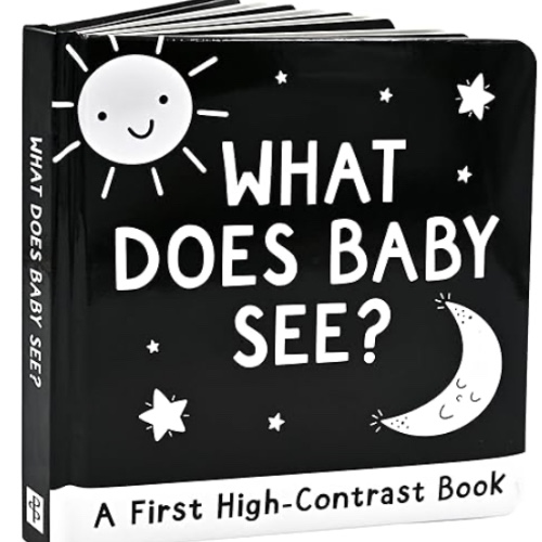 What Does Baby See? a High-Contrast Board Book