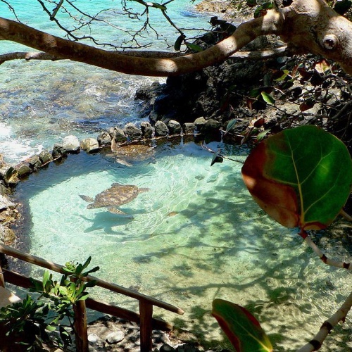 Honeymoon fund 🏝️