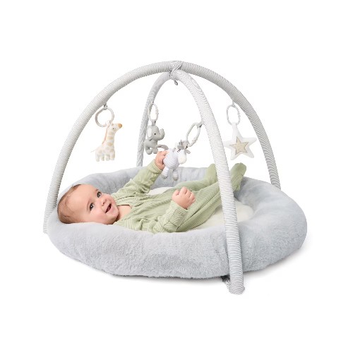 Plush Play Mat and Gym