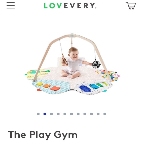 Lovevery The Play Gym (Months 0-12+)