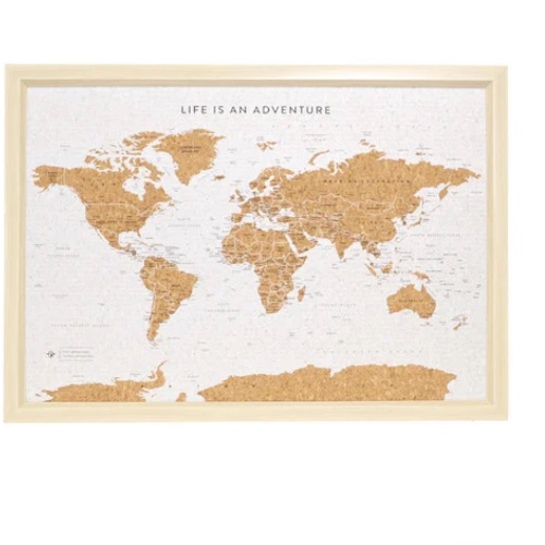 World map pin board