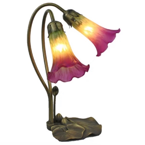 Lily Frosted Glass Gooseneck 2 Light Table Lamp