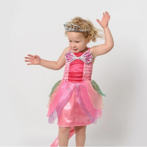 Mermaid / fairy dress up
